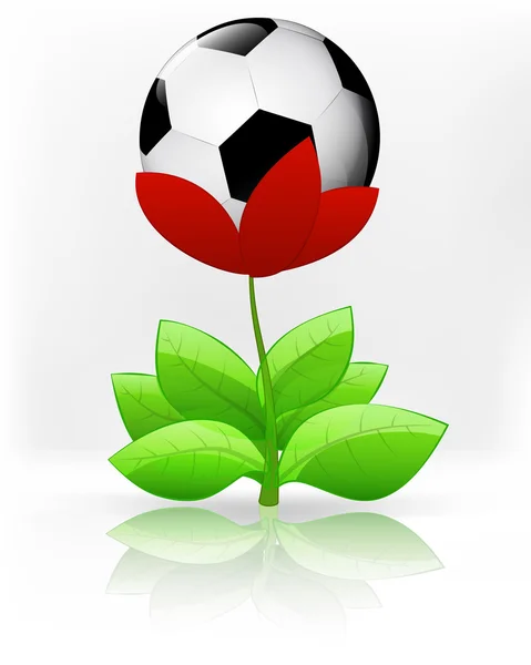 Voetbal bal in rode bloem bloei — Stockvector