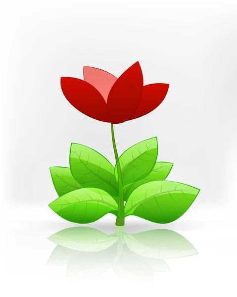 孤立的红色花朵郁金香花 — 图库矢量图片
