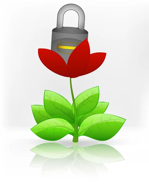 Candado cerrado en flor roja — Vector de stock