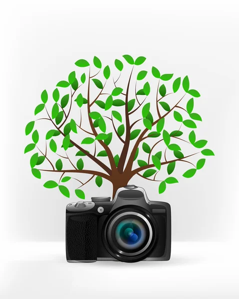 Camera schot voor groene boom — Stockvector