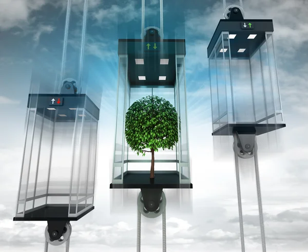 Groene boom in de middelste Lift — Stockfoto
