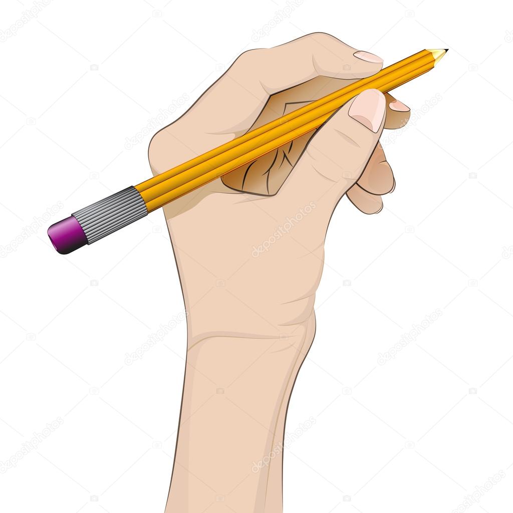 isolated human hand holding pencil vector 