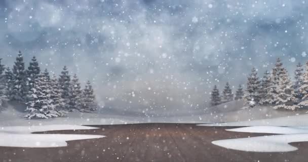 Зимовий Пейзаж Покритою Снігом Дерев Яною Палубою Деревами Позаду Під — стокове відео