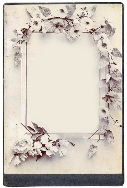 Flowers frame background — Stock Photo, Image