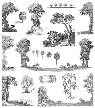 yaşlı ağaçlar illüstrasyon