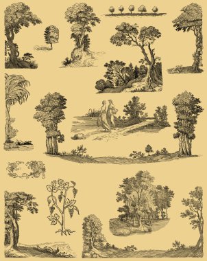 yaşlı ağaçlar illüstrasyon