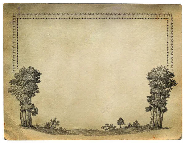 Stare drzewa ilustracja — Zdjęcie stockowe
