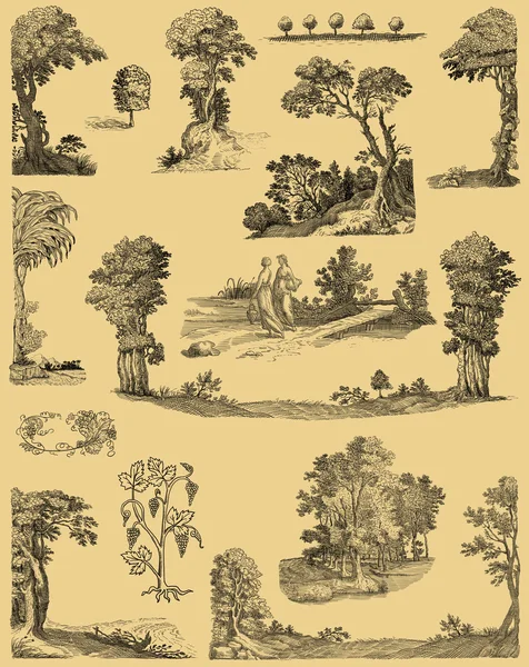 Παλιά δέντρα εικονογράφηση — Φωτογραφία Αρχείου