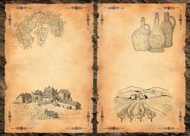 Vineyard illüstrasyon