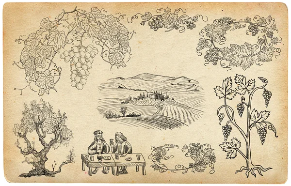 Vineyard illustration — Stock Photo, Image