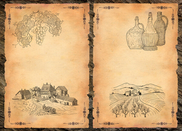 Виноградная иллюстрация
