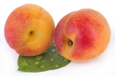 Beyaz arkaplanda kayısı