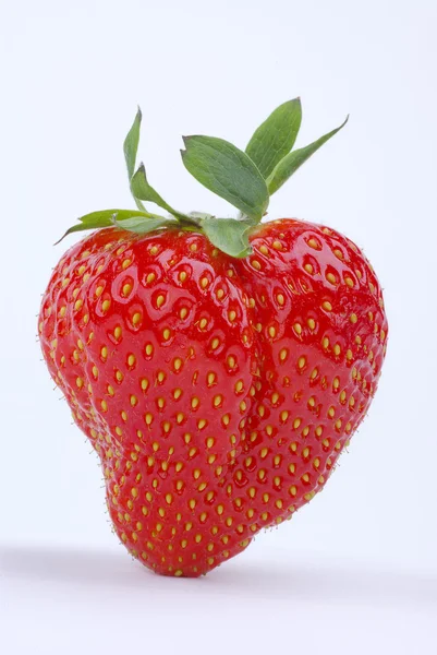 Strawberrie — Zdjęcie stockowe