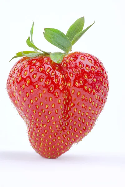 Strawberrie — Zdjęcie stockowe