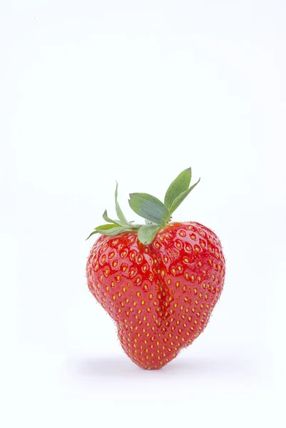 Strawberrie — Zdjęcie stockowe