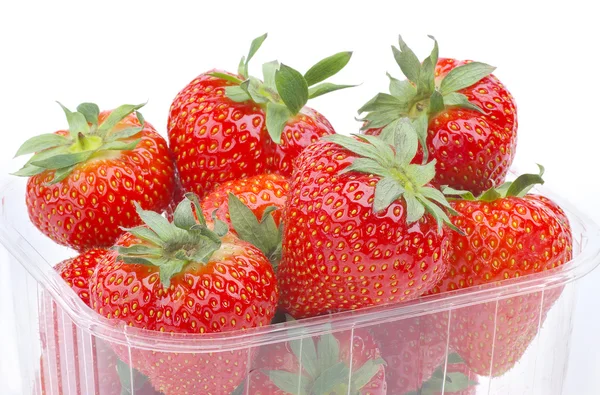 Strawberry — Stok Foto