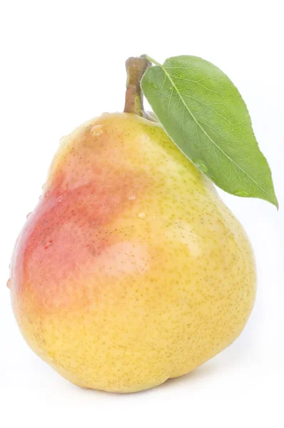 PEAR vruchten — Stockfoto