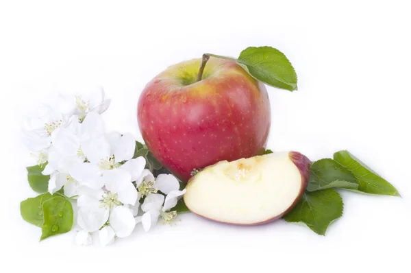 Apfel mit Blüten — Stockfoto