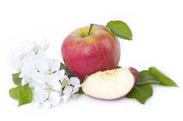 Apple met bloemen — Stockfoto