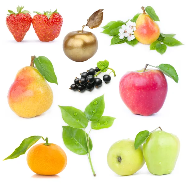 Fruits set — Stock Photo, Image