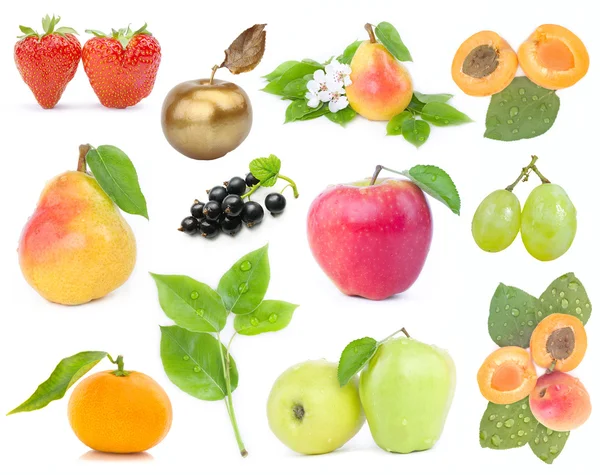 Fruit ingesteld — Stockfoto