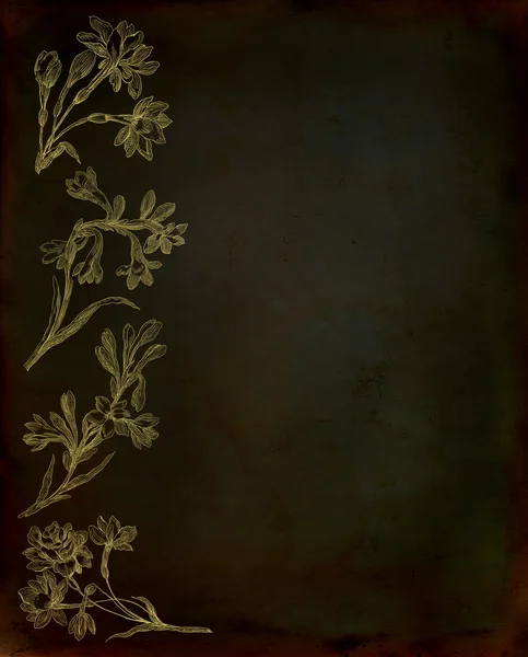 난초 그림 — 스톡 사진