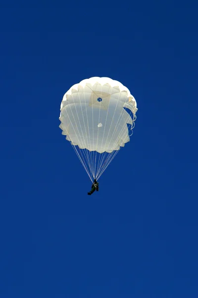 Parachute springen — Stockfoto