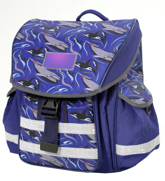 Szkolny plecak — Zdjęcie stockowe