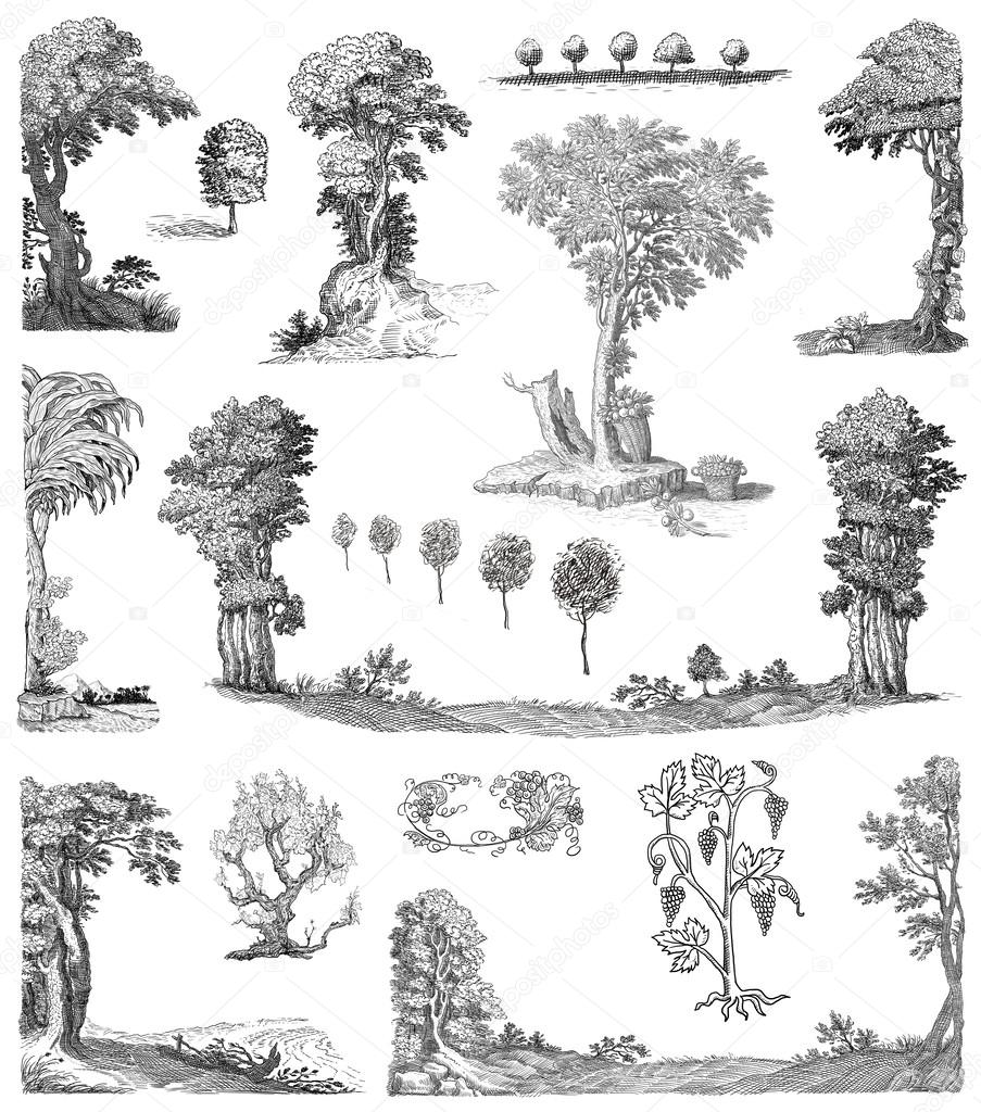 Old trees set illustration