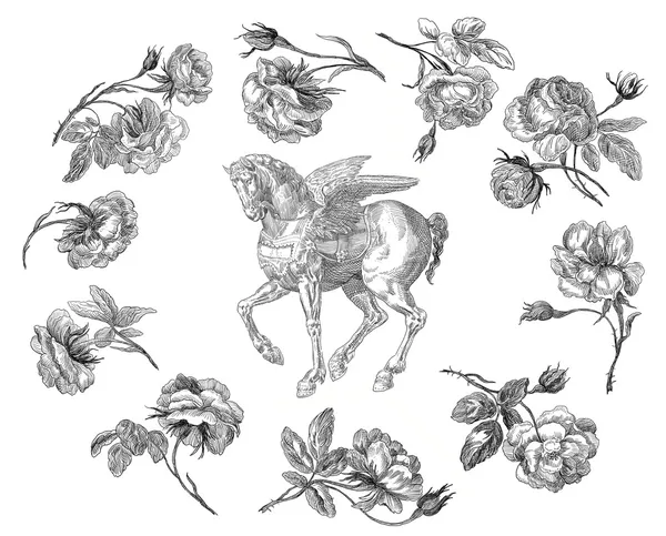 Pegasus illustration — Stockfoto