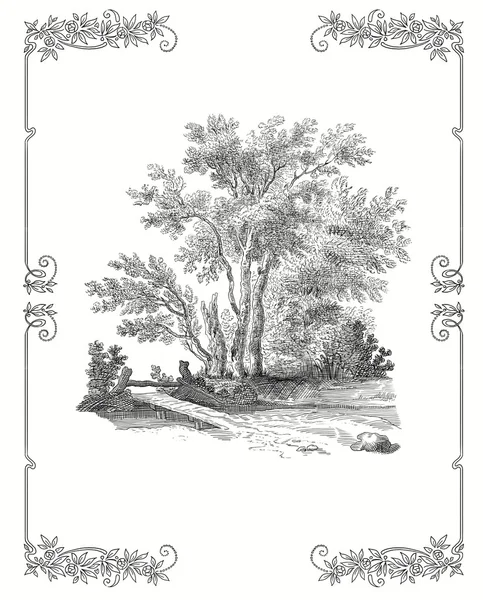 Старе дерево ілюстрація — стокове фото