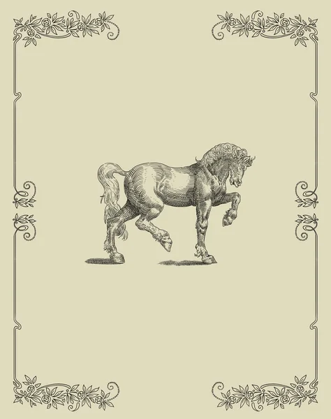 Ilustração do cavalo — Fotografia de Stock