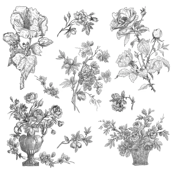 Floral illustration — Stock Photo, Image
