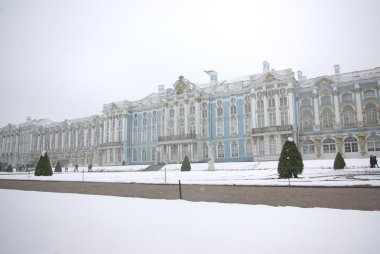 Catherine's palace, saint petersburg, Rusya Federasyonu