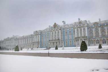 Aziz PETERSBURG.