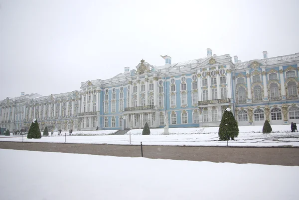 Catherine's palace, saint petersburg, Rusya Federasyonu