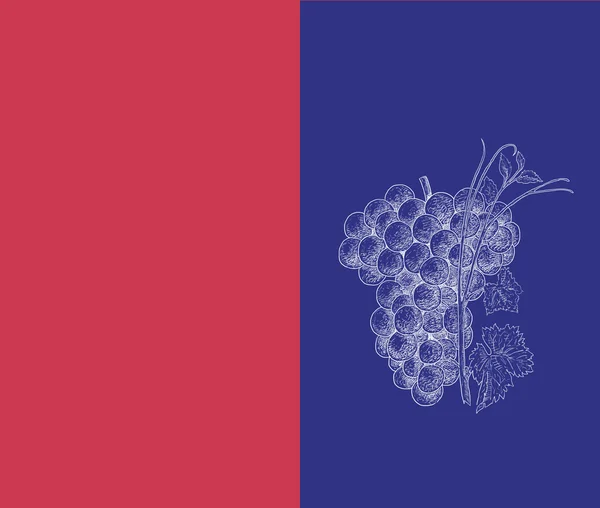 Grapes illustration — Stock Photo, Image