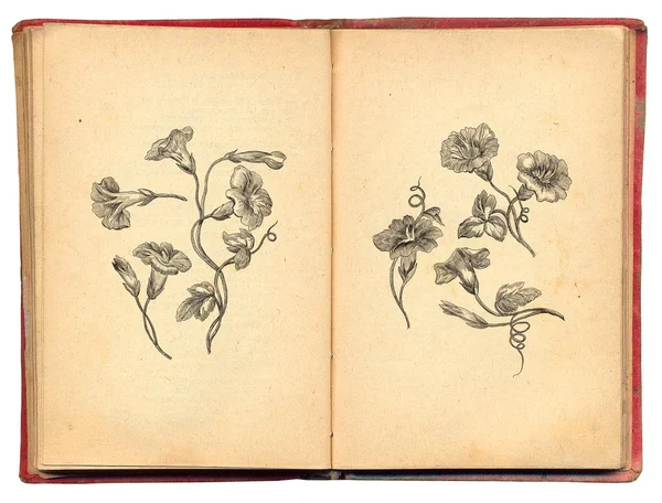 Vecchio libro con fiori illustrazione — Foto Stock