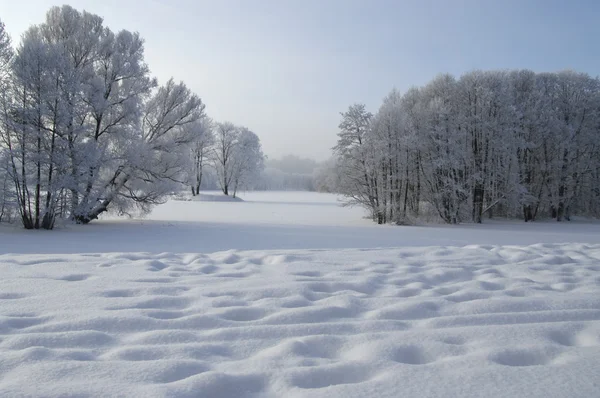 Krajobraz zimowy — Zdjęcie stockowe