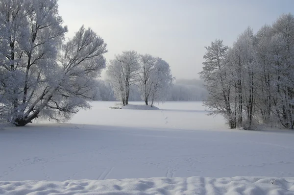 Widok zima — Zdjęcie stockowe