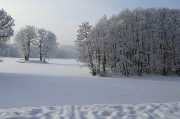 Paisagem inverno — Fotografia de Stock