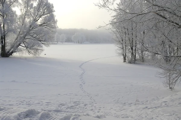 Vista de inverno — Fotografia de Stock