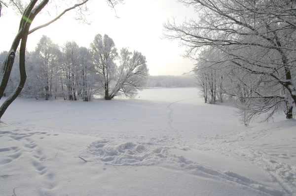 Paisaje invierno — Foto de Stock