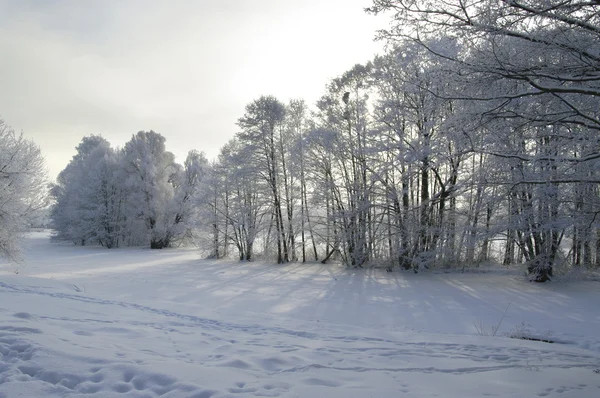 Paisaje invierno — Foto de Stock