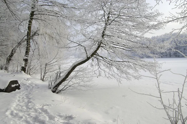 Vista de inverno — Fotografia de Stock