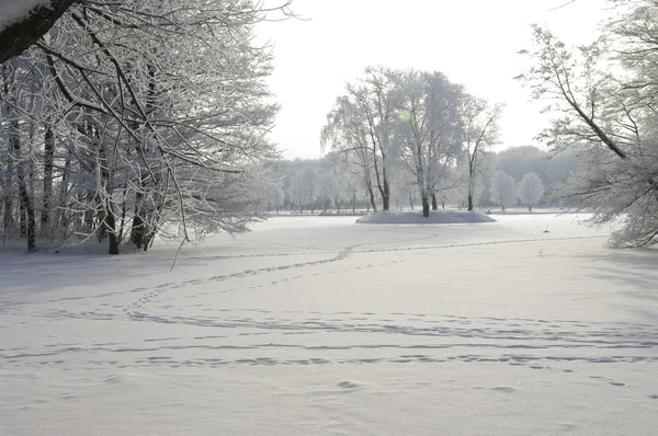 Vista de invierno — Foto de Stock