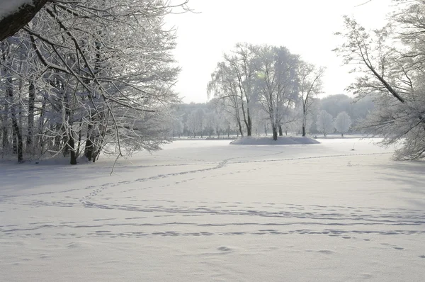 Vista de inverno — Fotografia de Stock