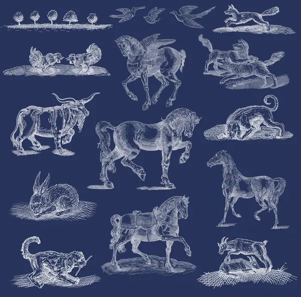 Ilustração do conjunto de animais — Fotografia de Stock