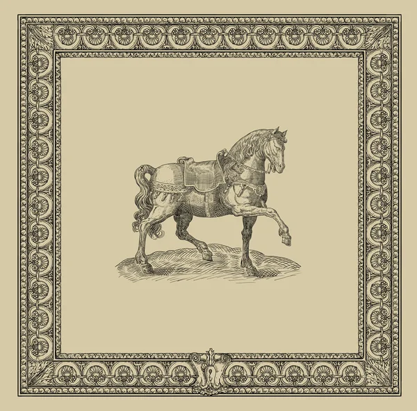 Horse illustration — Stock Photo, Image