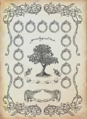 Aile Ağacı
